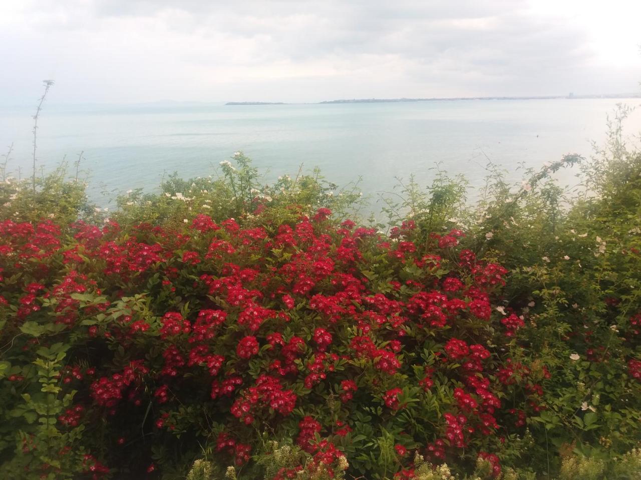 Hotel Sea Vista Sveti Vlas Eksteriør bilde